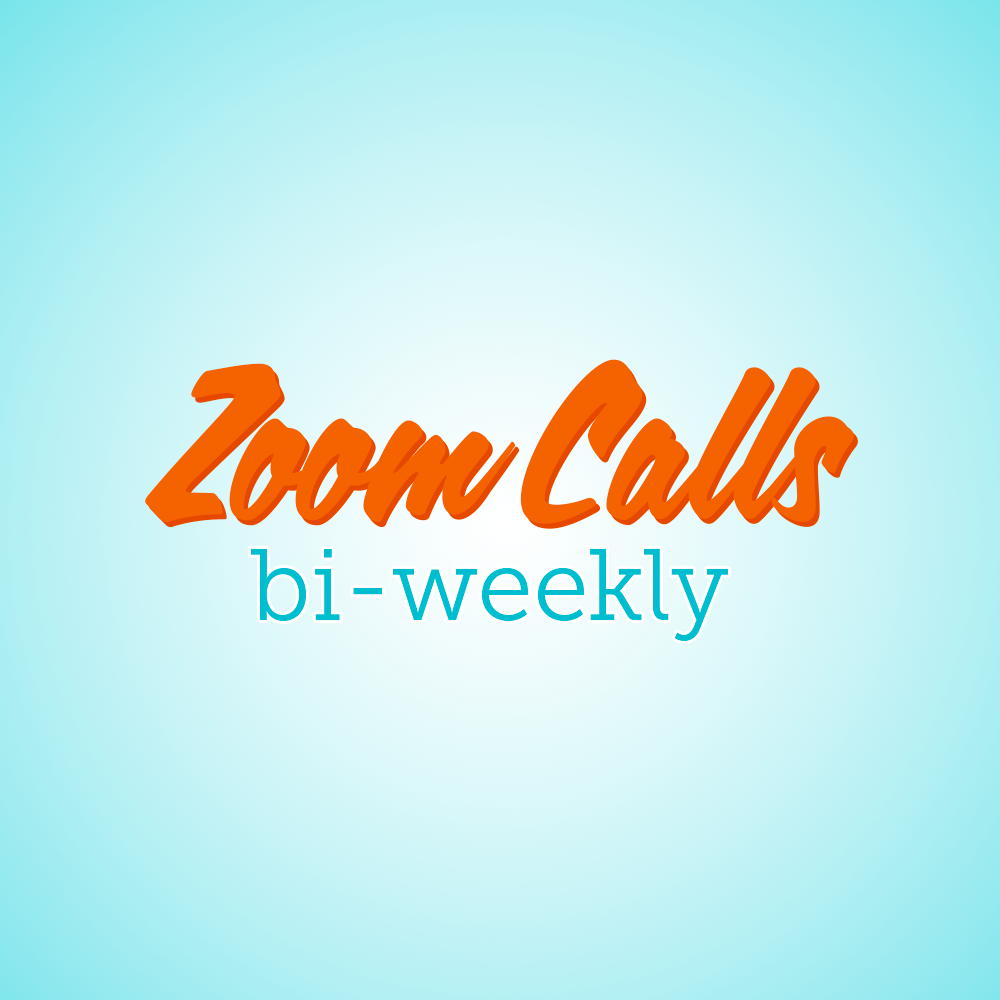 Bi-Weekly Zoom Calls